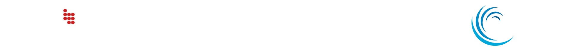 BLACHERE-ICTT Logo